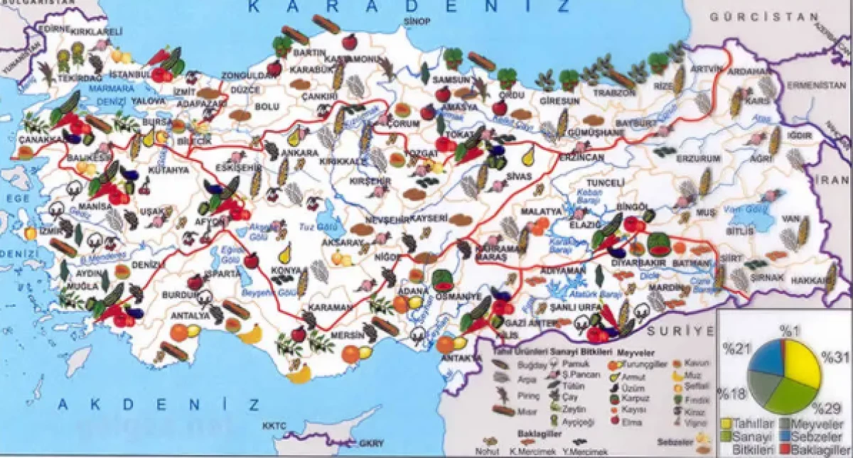 coğrafya konu özeti (murat erdoğan)